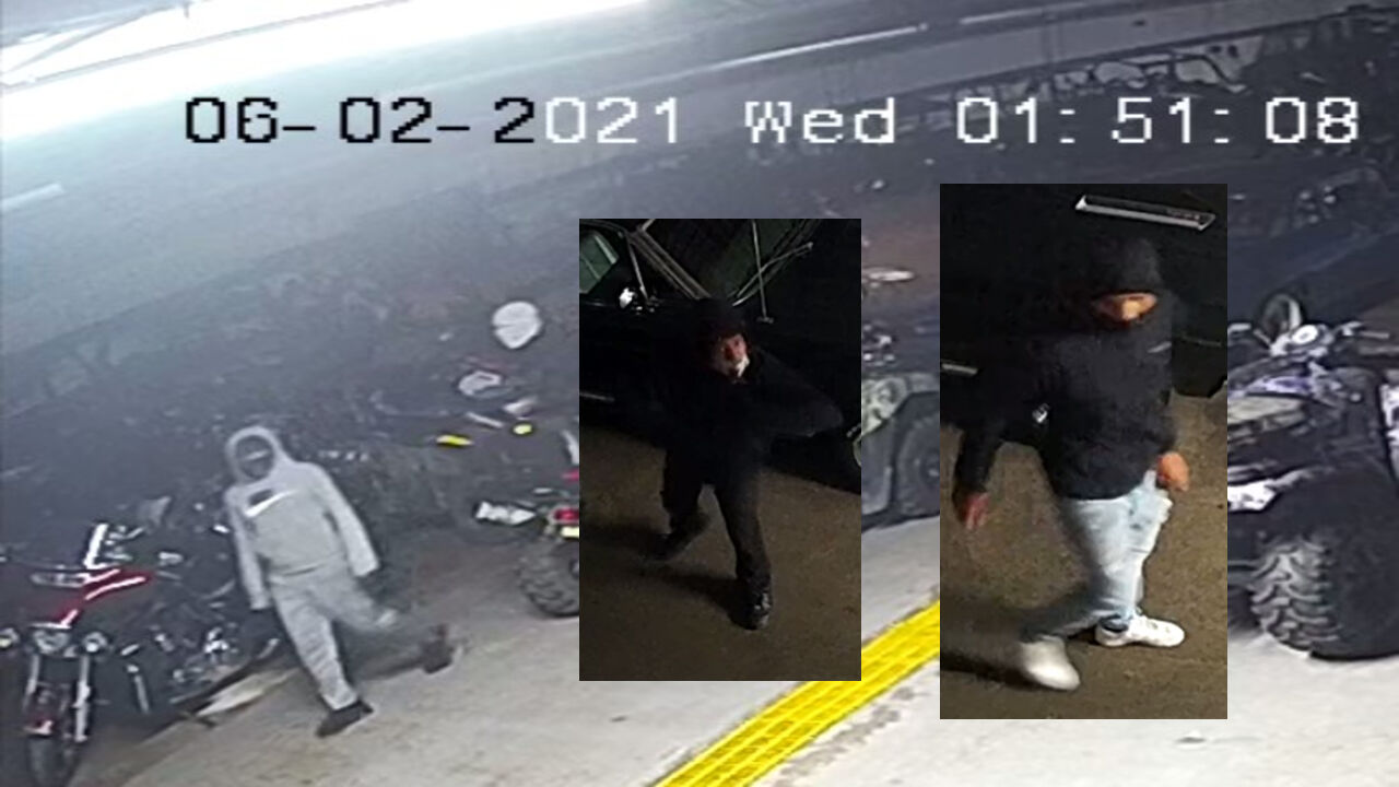 Cumru burglary